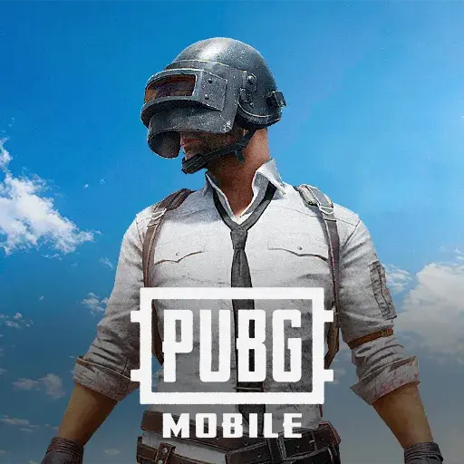 PUBG MANUAL